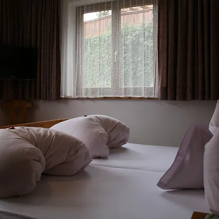 Haus Oberland 3*